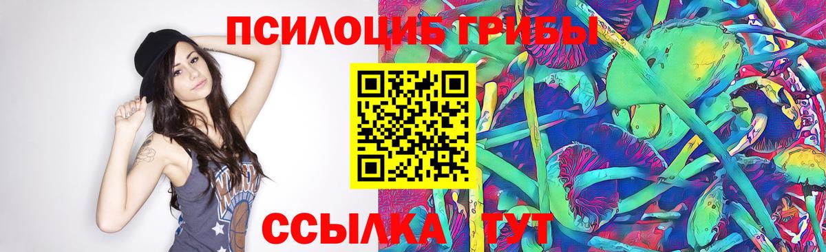 Псилоцибиновые грибы MAGIC MUSHROOMS Звенигород